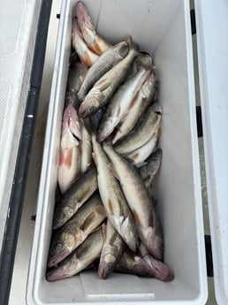 Fishing in Indianapolis, Indiana