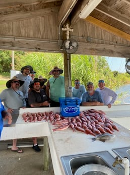 Triggerfish, Vermillion Snapper Fishing in Pensacola, Florida