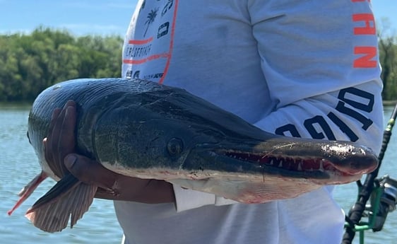 Fishing in Dallas, Texas