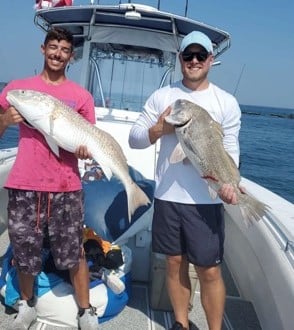 Black Drum, Redfish fishing in Galveston, Texas