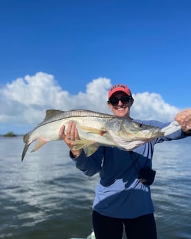 Snook Fishing in Cape Coral, Florida