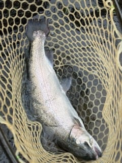 Fishing in Broken Bow, Oklahoma