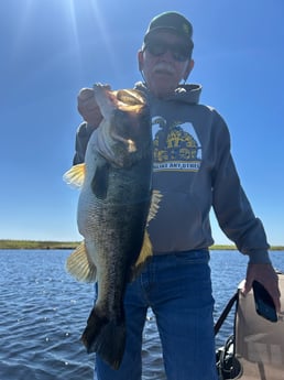 Largemouth Bass Fishing in
