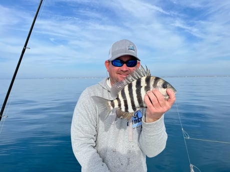 Sheepshead Fishing in Beaufort, North Carolina