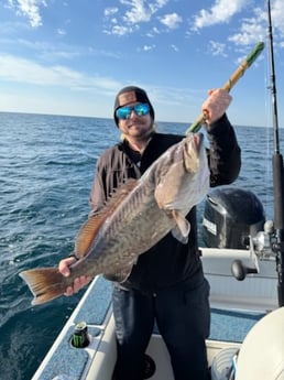 Fishing in Shalimar, Florida
