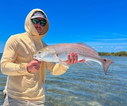Redfish Fishing in New Smyrna Beach, Florida