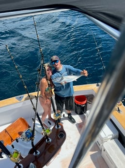 False Albacore Fishing in West Palm Beach, Florida