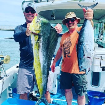 Little Tunny / False Albacore, Mahi Mahi / Dorado fishing in Kapa&#039;a, Hawaii