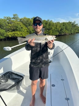 Fishing in Tampa, Florida