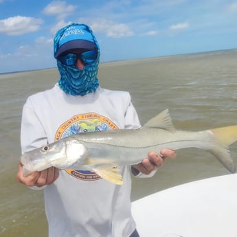 Snook Fishing in Islamorada, Florida