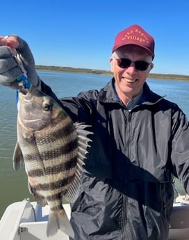 Sheepshead Fishing in Mount Pleasant, South Carolina