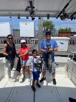 Bluefish, Striped Bass fishing in Montauk, New York