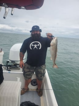 Fishing in Port Orange, Florida