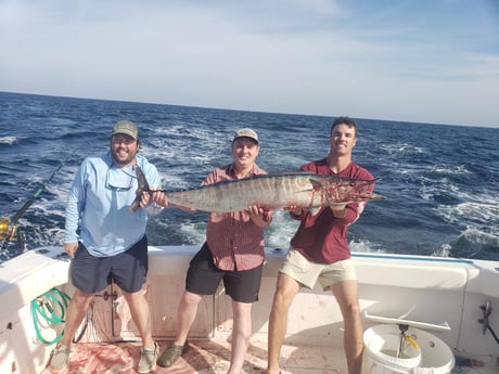 Fishing in Orange Beach, Alabama