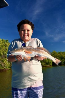 Fishing in Naples, Florida