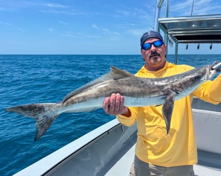 Fishing in Naples, Florida