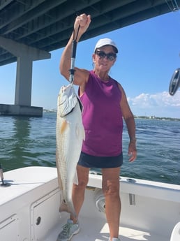 Fishing in Orange Beach, Alabama