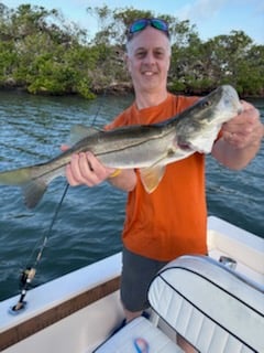 Fishing in Sarasota, Florida