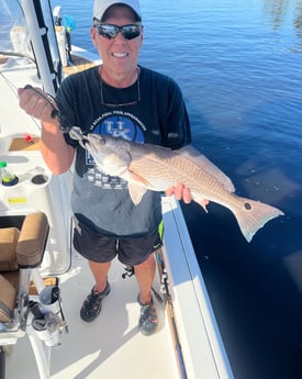 Redfish Fishing in Little River, South Carolina
