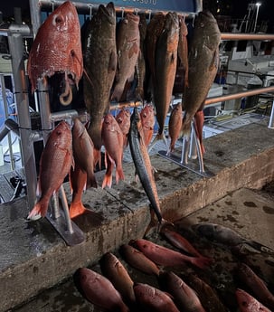 Fishing in Panama City, Florida