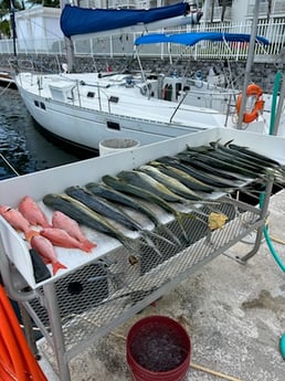 Fishing in Key West, Florida