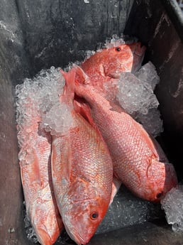 Fishing in Port O&#039;Connor, Texas