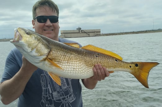 Redfish fishing in San Antonio, Texas