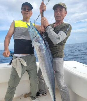 Wahoo Fishing in Pompano Beach, Florida