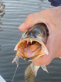 Fishing in Panama City Beach, Florida