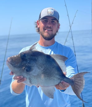 Triggerfish Fishing in Mount Pleasant, South Carolina