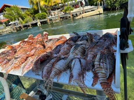Fishing in Key West, Florida