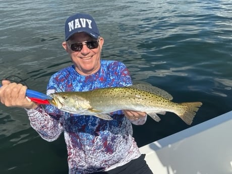Fishing in St. Petersburg, Florida
