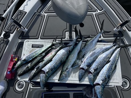 Fishing in Lakeland, Florida