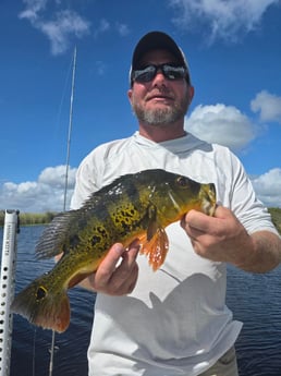 Fishing in Davie, Florida