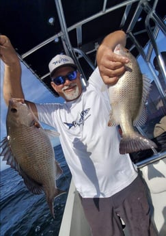 Fishing in St. Petersburg, Florida