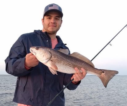 Redfish fishing in Saint Bernard, Louisiana