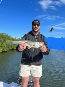 Snook Fishing in Tampa, Florida
