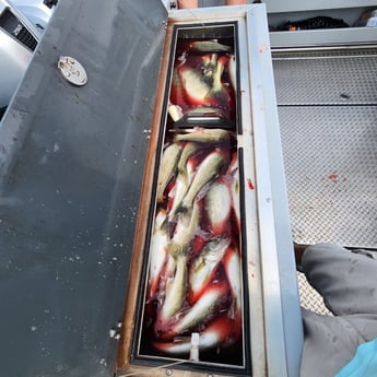 Fishing in Sheffield Lake, Ohio