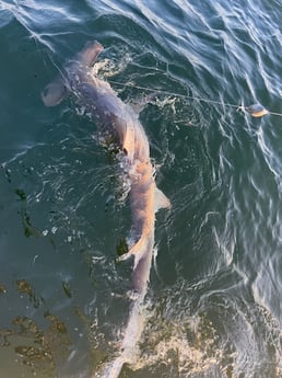 Fishing in Santa Rosa Beach, Florida