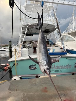 Fishing in Key Largo, Florida