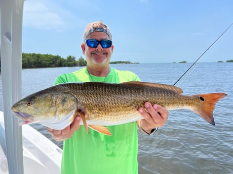 Redfish Fishing in Holmes Beach, Florida