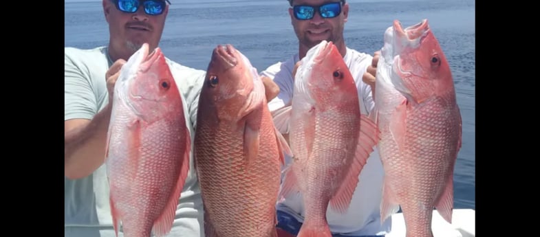 Fishing in Tierra Verde, Florida