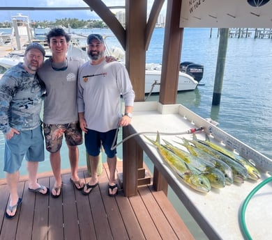 Mahi Mahi Fishing in