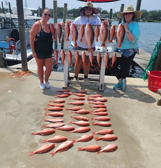 Red Snapper, Vermillion Snapper Fishing in Panama City, Florida