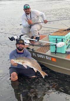 Redfish fishing in Holmes Beach, Florida