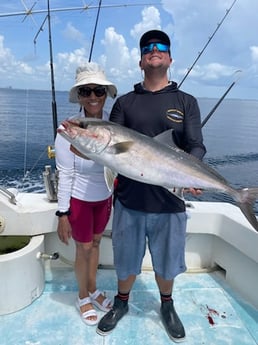 Amberjack Fishing in West Palm Beach, Florida