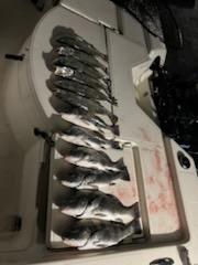 Fishing in Naples, Florida