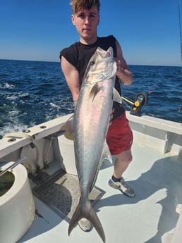 Amberjack Fishing in Indian Rocks Beach, Florida
