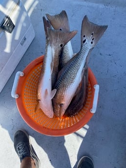 Fishing in Port Aransas, Texas