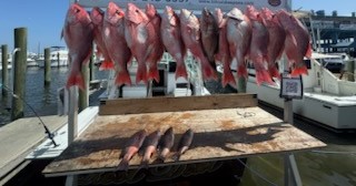 Fishing in Biloxi, Mississippi